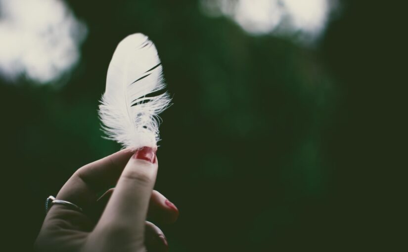 person holding white feather in selective focus photography